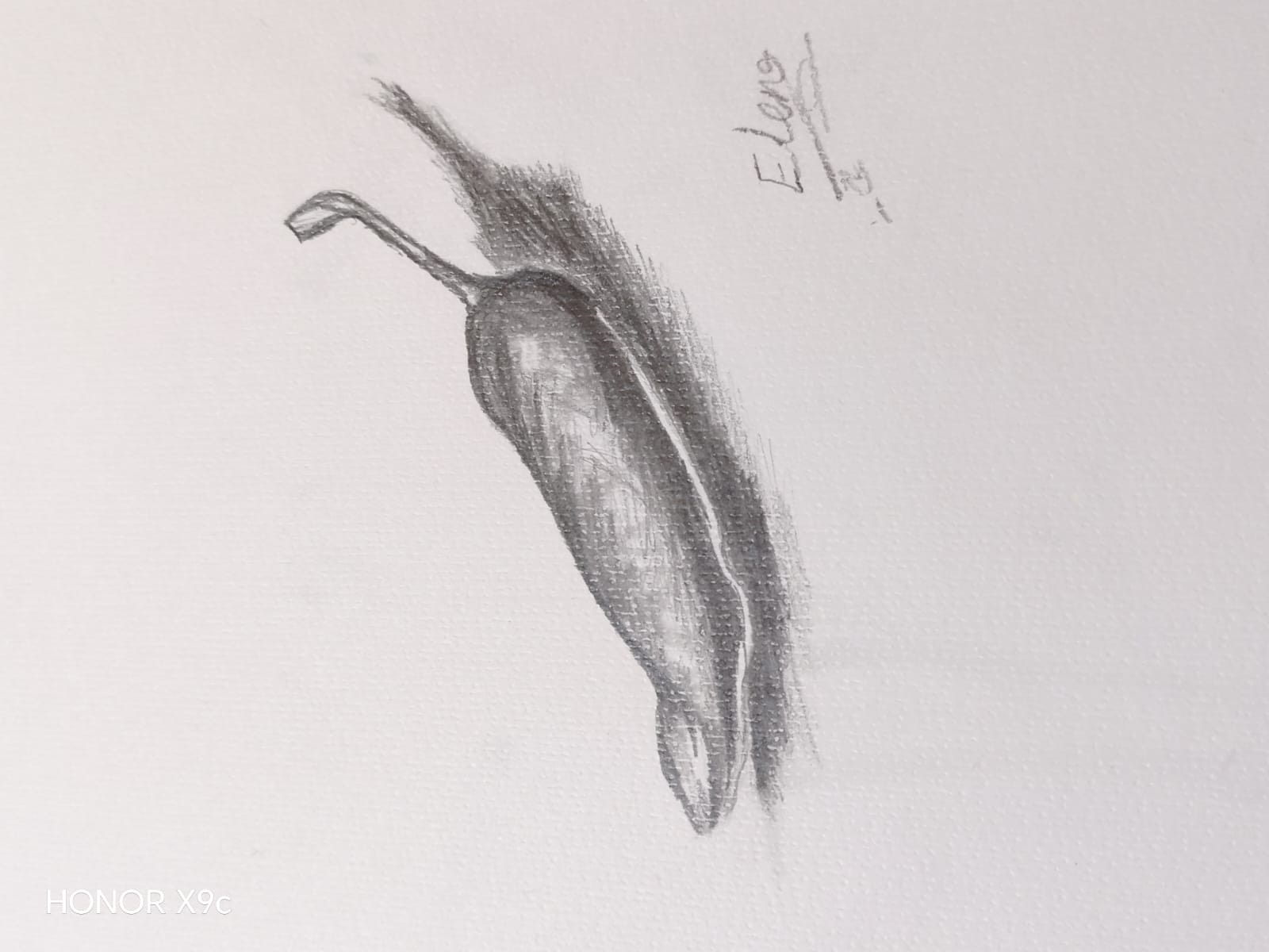 إلينا الشلبي - مركز زها الثقافي اربد