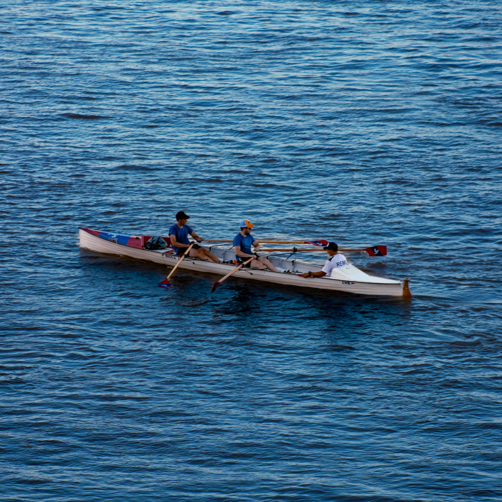 حين تتحدث المجاديف بلغة القوة والانسجام