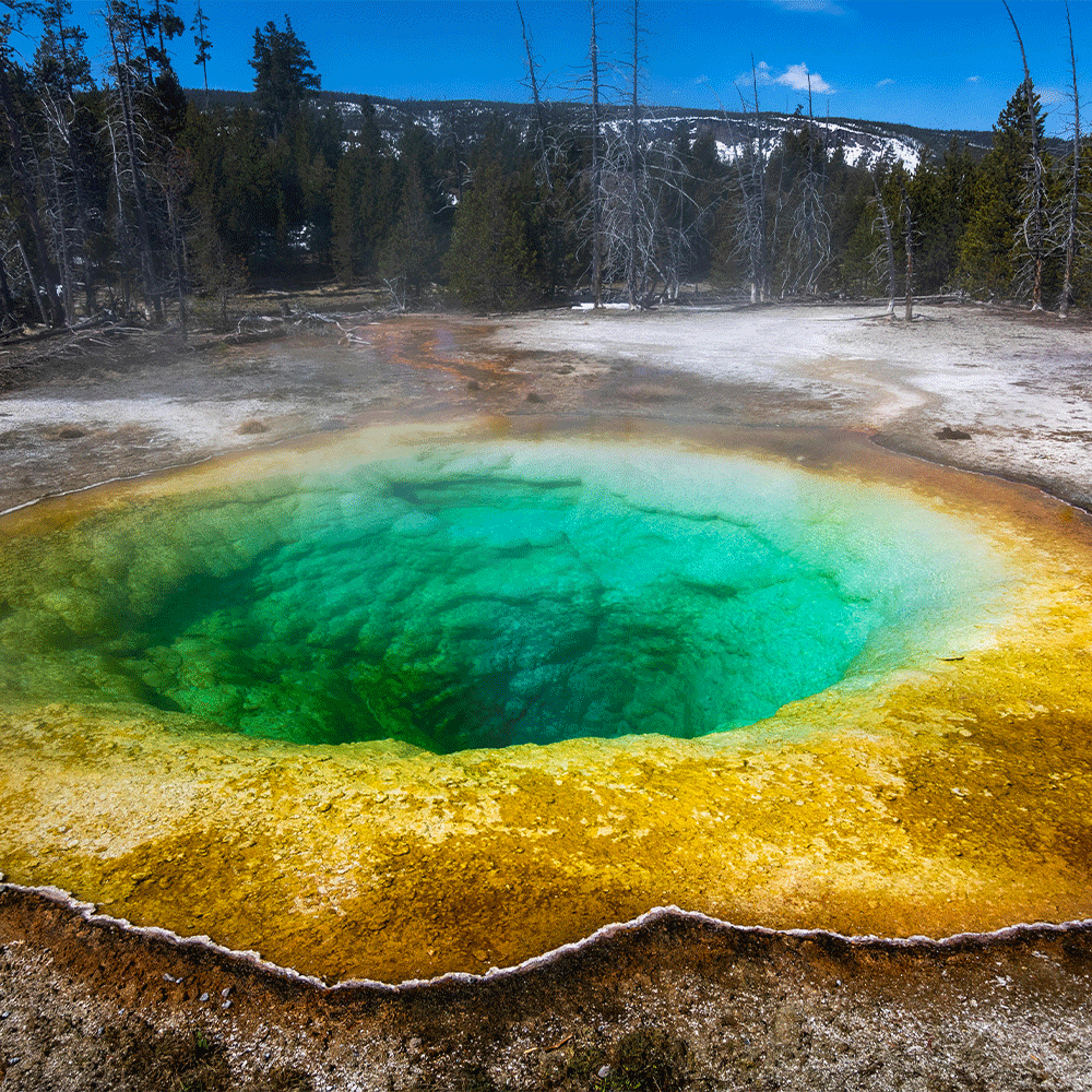 حديقة "يلوستون" في أمريكا وجهة مثالية لمحبي الطبيعة والمغامرات
