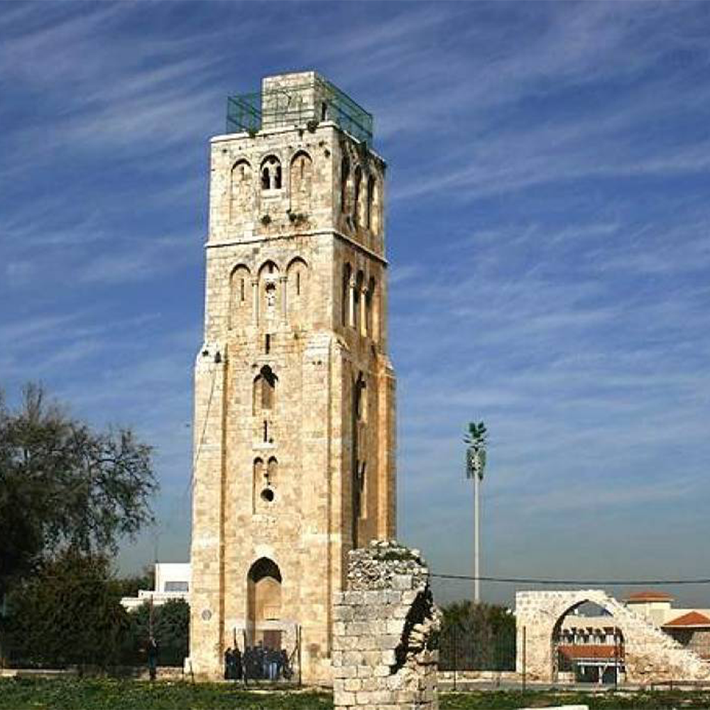 الرملة البيضاء ... عاصمة خيرات فلسطين