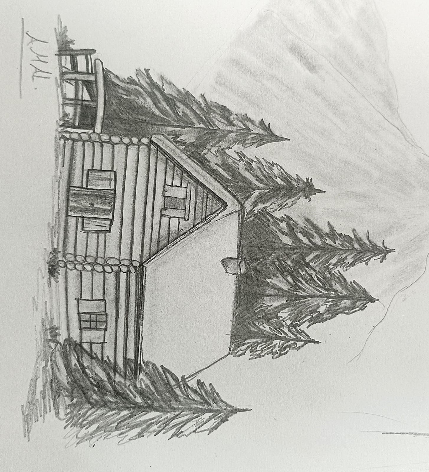 أمل الزعبي - مركز زها الثقافي اربد