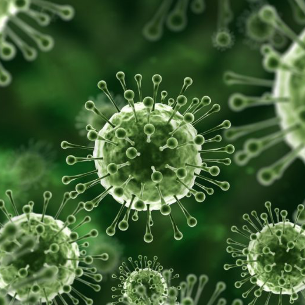 فيروس نيباه… خطر يثير القلق العالمي