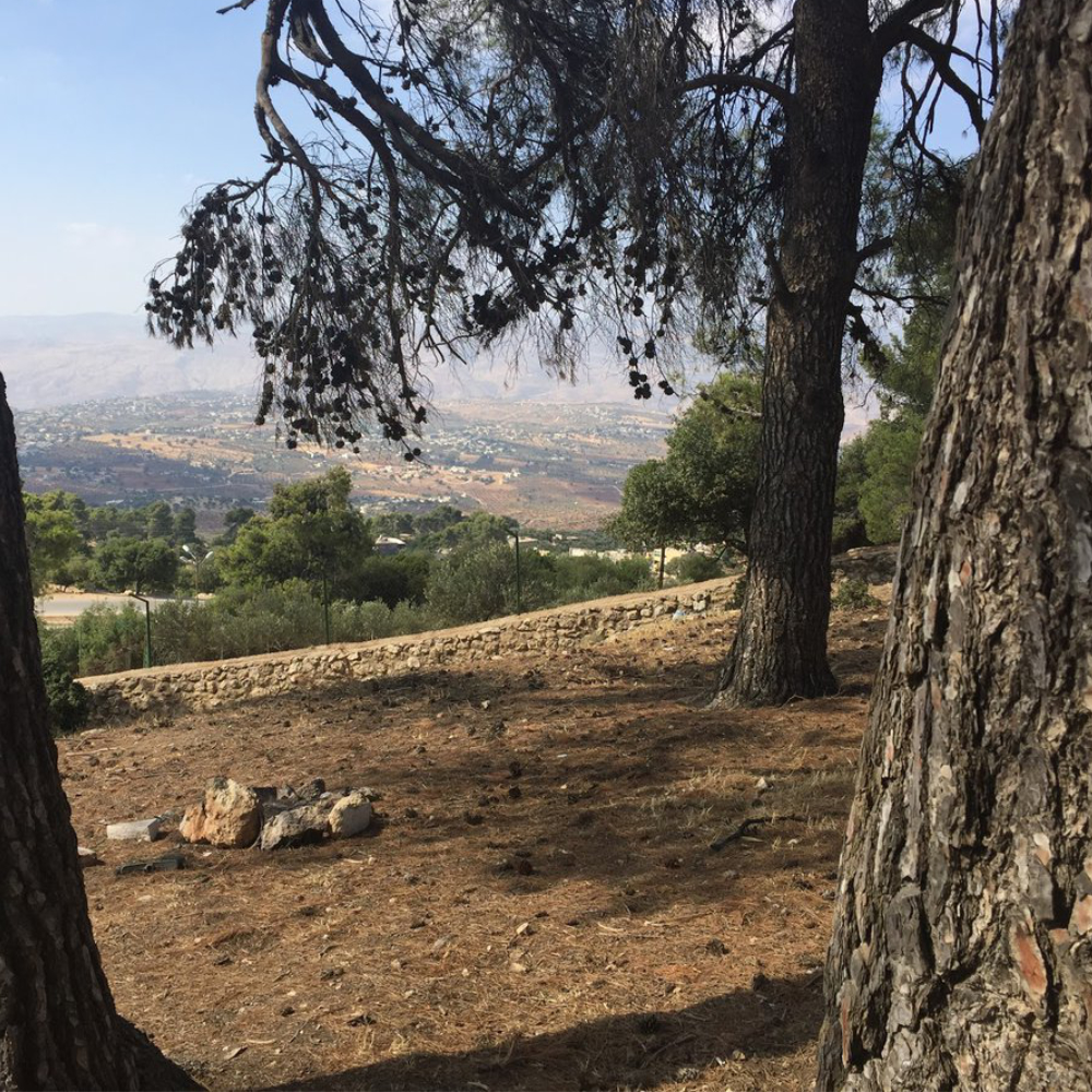 "زي" حديقة وطنية تسر الناظرين 