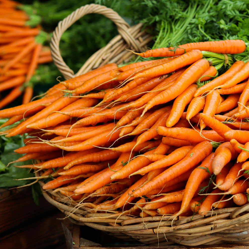 الجزر الخضار البرتقالي الذي يرفع عافيتك بهدوء