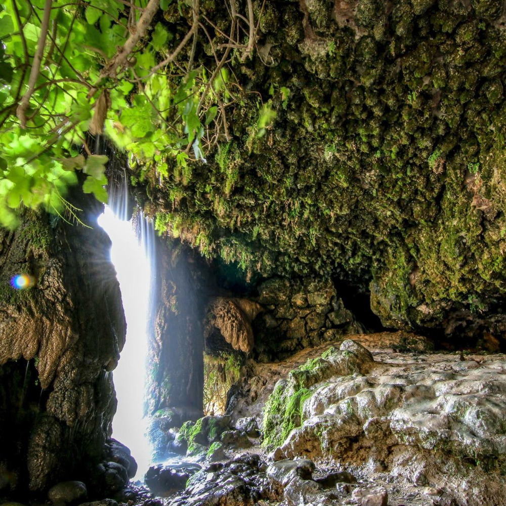 عودة الحياة لنبع عين الصدر في وادي موسى