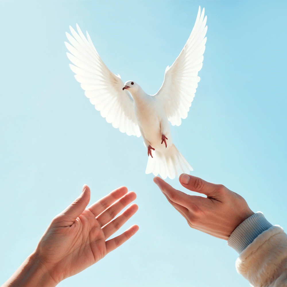 مبادرة السلام العالمية  ... نشر قيم السلام والعدالة والتسامح