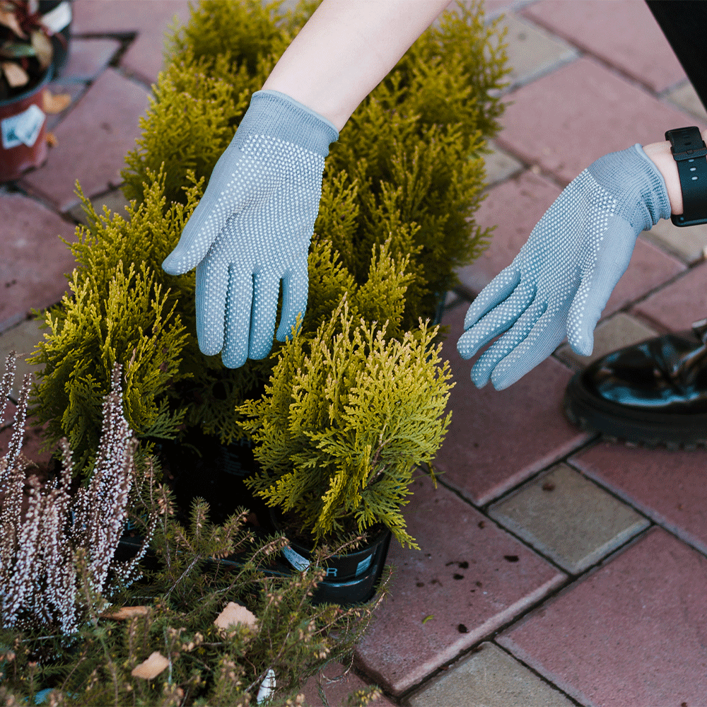 مبادرة مجتمعية لإعادة تأهيل الحدائق العامة