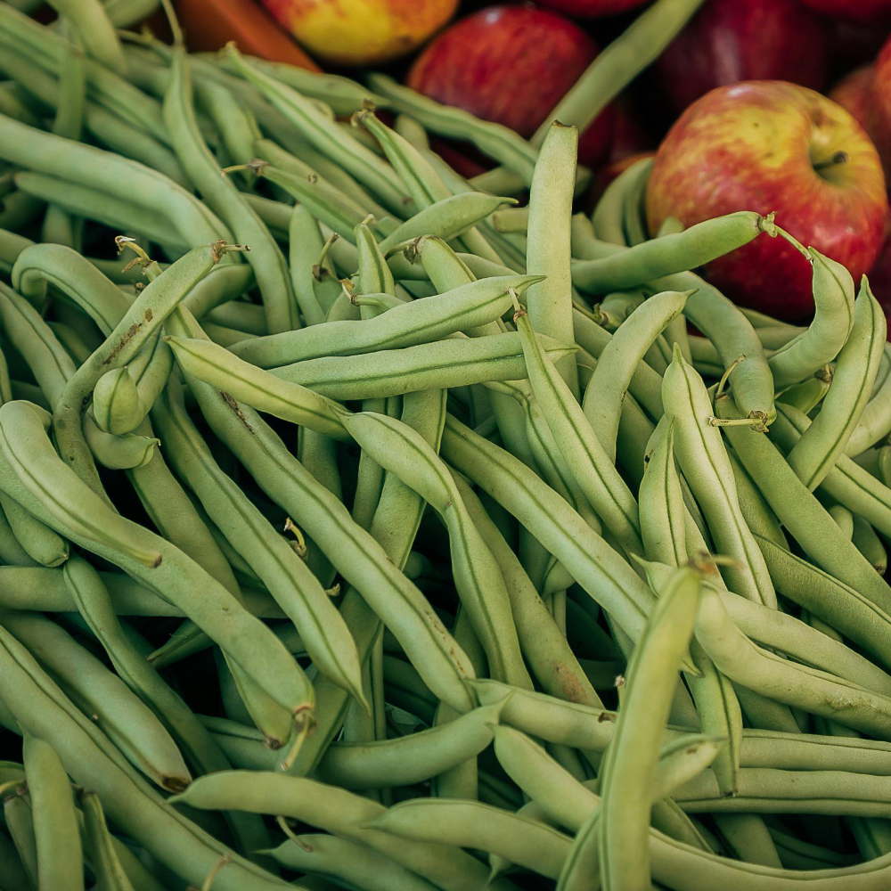 الفاصوليا الخضراء صيدلية طبيعية