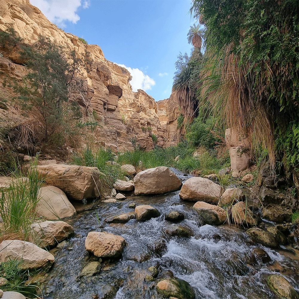 وادي بن حمّاد ... استراحة روحية وتجربة لا تُنسى