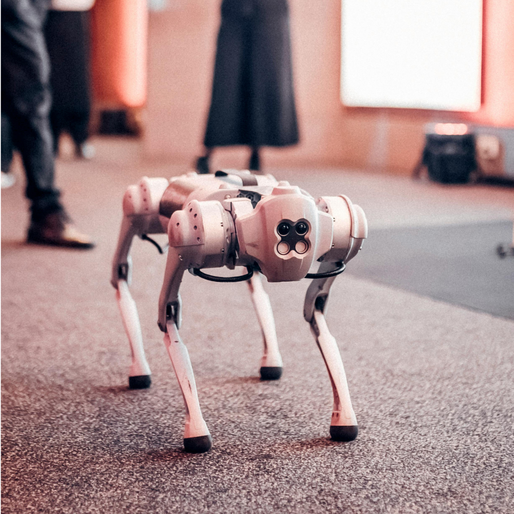 اكتشفوا عالم “الروبو دوغ”… صديق المستقبل الذكي