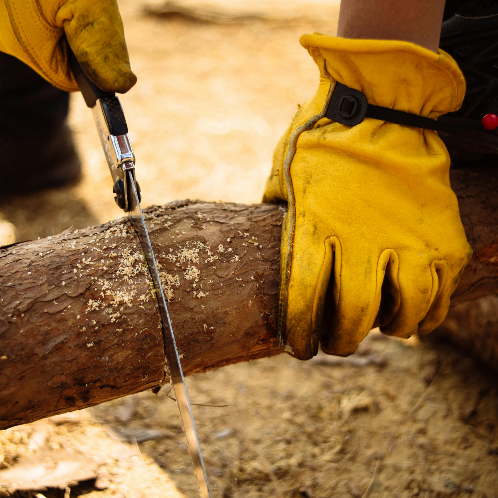 تحطيب الأشجار من أجل مواقد النار