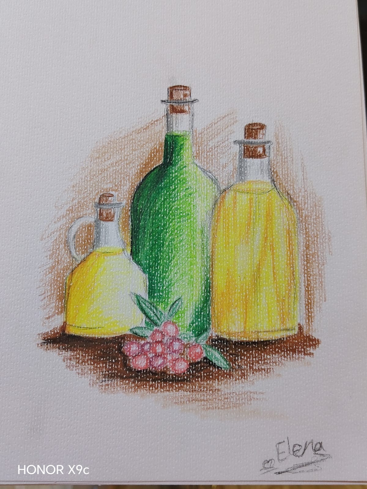 إلينا الشلبي - مركز زها الثقافي اربد